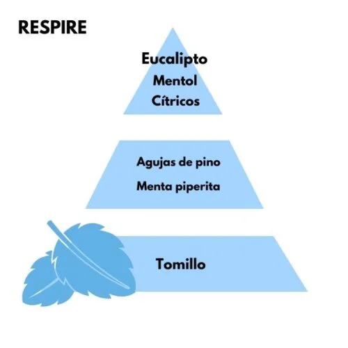 Piramide olfativa del aroma Respire de la marca Berger D'Arome