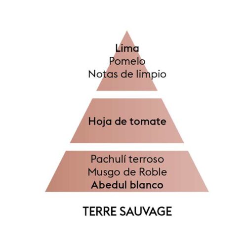 piramide-olfativa-terre-sauvage