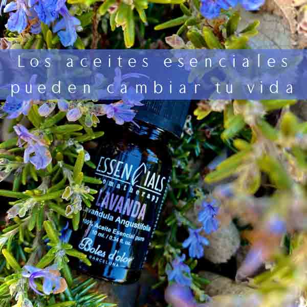 aceite esencial lavanda darome