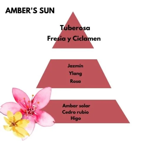 Piramide olfativa del aroma Amber's sun de la marca Berger D'Arome