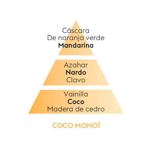piramide-olfativa-coco-monoi