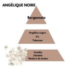 Piramide olfativa del aroma Angelique noire de la marca Berger D'Arome