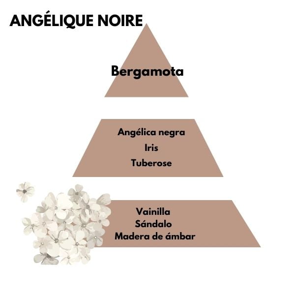 Piramide olfativa del aroma Angelique noire de la marca Berger D'Arome