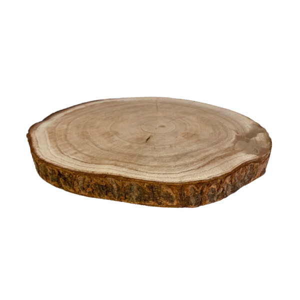 Rodaja madera 31 x 3 cm aprox, DArome