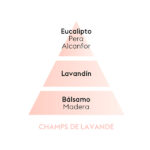 Piramide-olfativa-lavanda