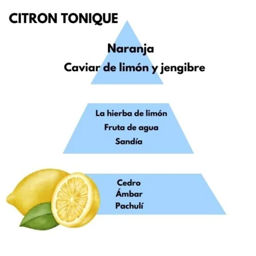 Piramide olfativa del aroma Citron tonique de la marca Berger D'Arome
