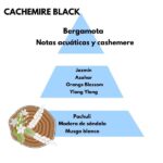 Piramide olfativa del aroma Cachemire Black de la marca Berger D'Arome