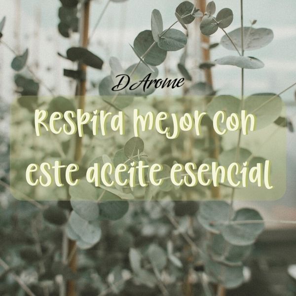 aceite esencial de eucalipto respira mejor