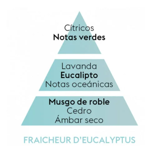 Piramide olfativa del aroma fraicheur eucalyptu de 500ml de la marca maison berger