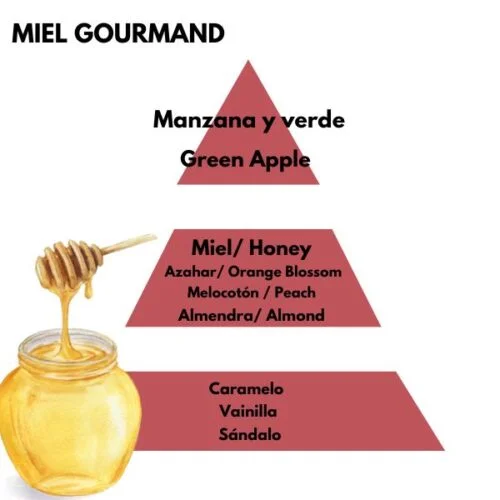 Piramide olfativa del aroma Miel Gourmand de la marca Berger d'arome