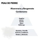 Piramide olfativa del aroma Peau de Pierre de la marca Berger D'Arome