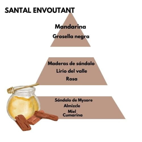 Piramide olfativa del aroma Santal Envoutant de la marca Berger D'Arome