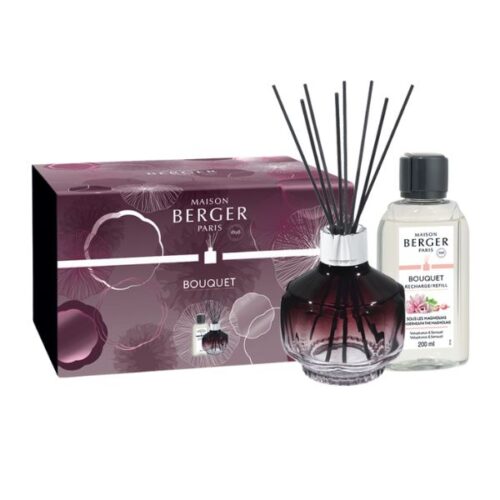 Bouquet mikado molecule prune de la marca Berger D'Arome
