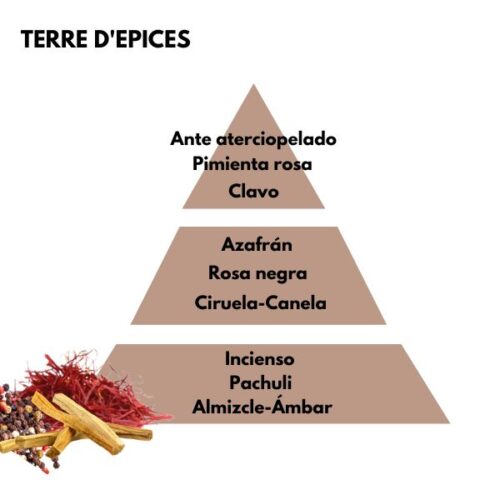 Piramide olfativa del aroma terre d'epices de la marca Berger D'Arome