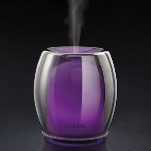 Difusor de esteban de perfume ediditon silver lila color darome