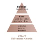 Pirámide olfativa del aroma Dream marca Berger D'Arome