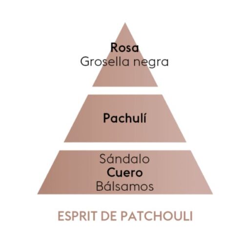 Pirámide olfativa del aroma esprit de patchouli marca berger D'Arome