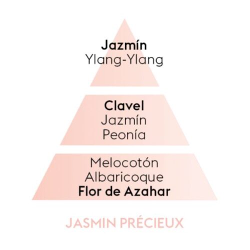 Piramide olfativa del aroma Jasmin Precieux marca Berger D'Arome