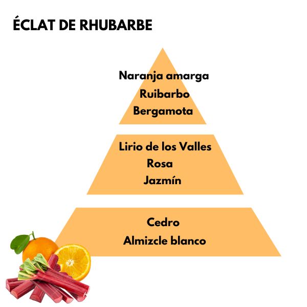 Piramide olfativa del aroma eclat de rhubarbe de la marca berger D'Arome