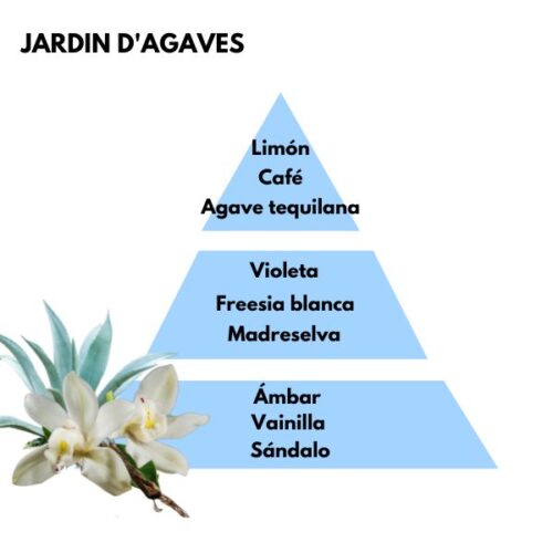 Piramide olfativa del aroma jardin d'agaves de la marca berger D'Arome