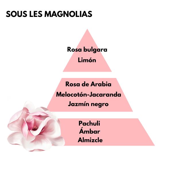 Piramide olfativa del aroma sous les magnolias de la marca berger D'Arome