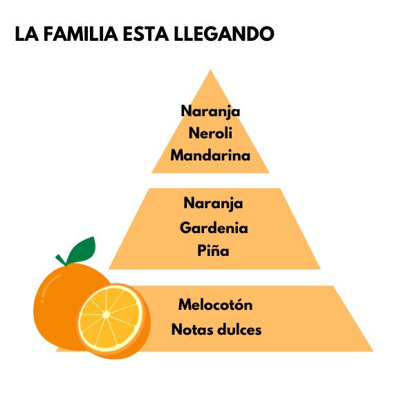 Piramide olfativa del aroma La familia esta llegando de la marca LOES D'Arome