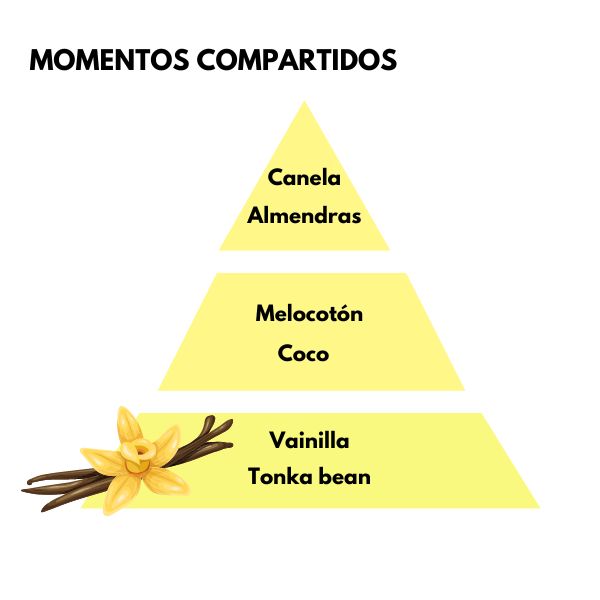 Piramide olfativa del aroma Momentos Compartidos de la marca LOES D'Arome