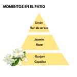 Piramide olfativa del aroma Momentos en el Patio de la marca LOES D'Arome