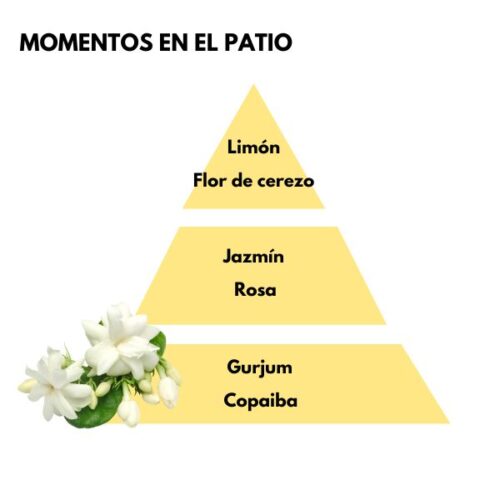 Piramide olfativa del aroma Momentos en el Patio de la marca LOES D'Arome