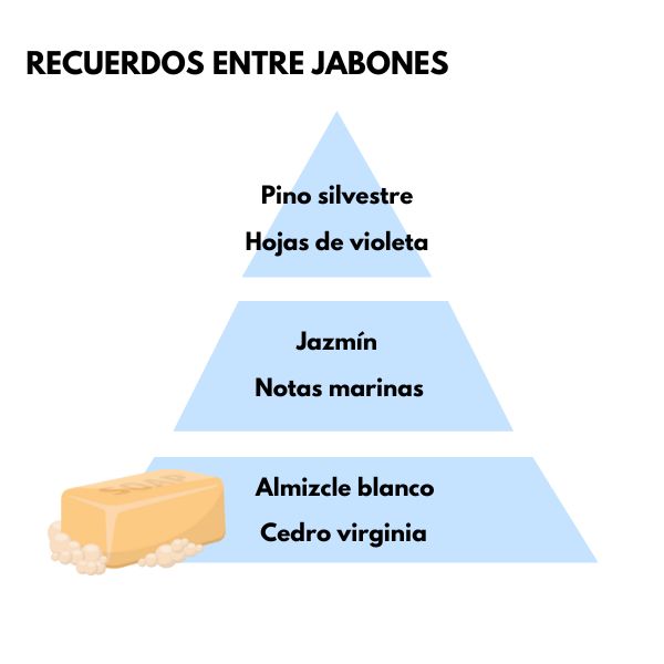 Piramide olfativa del aroma Recuerdos entre Jabones de la marca LOES D'Arome