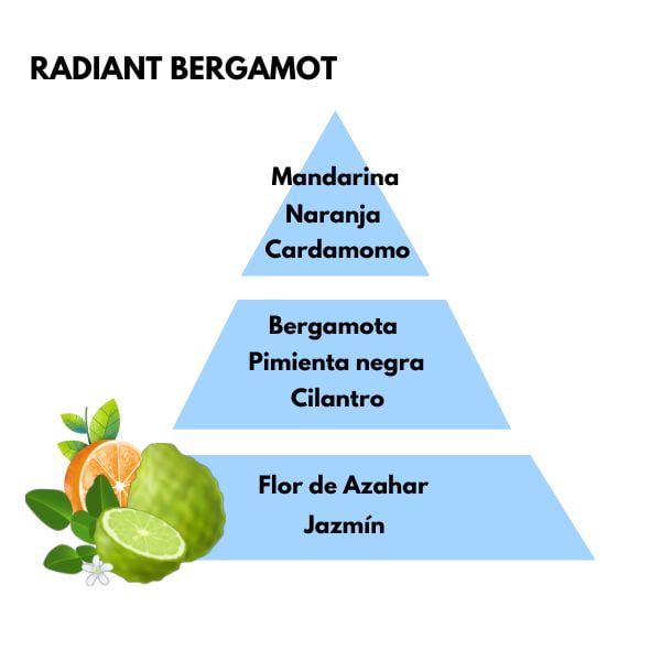 Piramide olfativa del aroma Radiant Bergamot de la marca Berger D'Arome