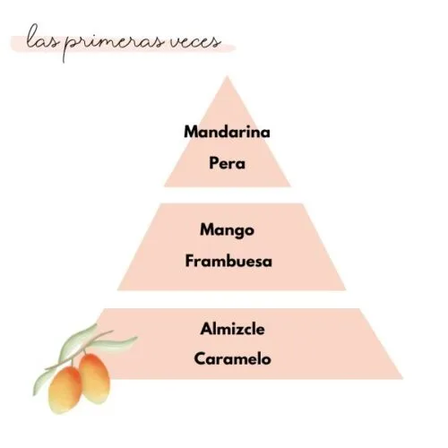Pirámide olfativa del aroma las primeras veces de la marca Loes para D'Arome