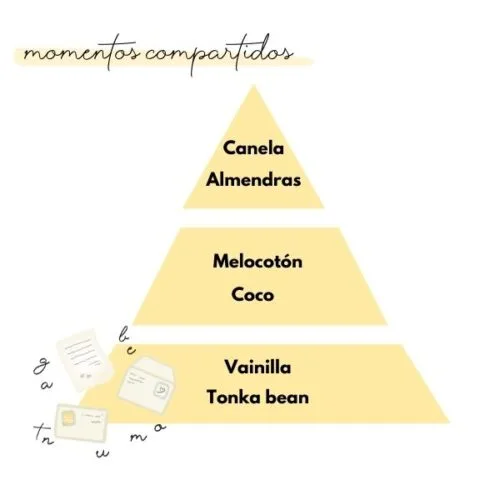 Pirámide olfativa del aroma momentos compartidos de la marca Loes para D'Arome