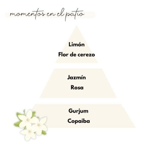 Pirámide olfativa del aroma momentos en el patio de la marca Loes para D'Arome