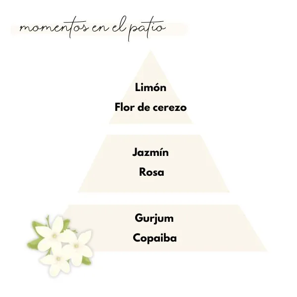 Pirámide olfativa del aroma momentos en el patio de la marca Loes para D'Arome