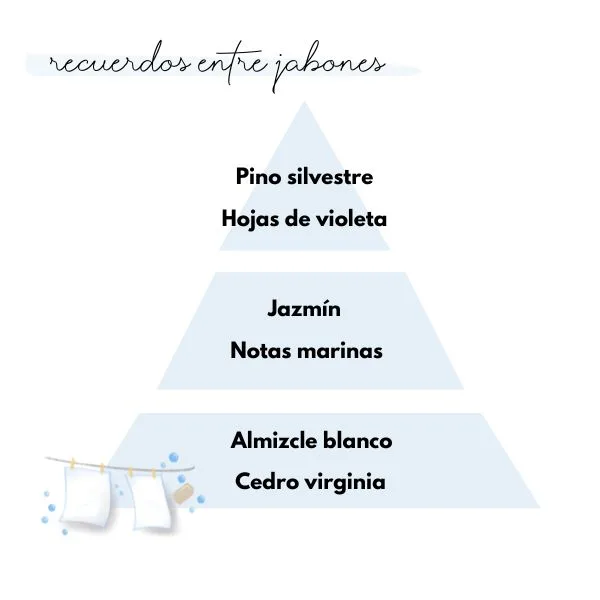 Pirámide olfativa del aroma recuerdos entre jabones de la marca Loes para D'Arome