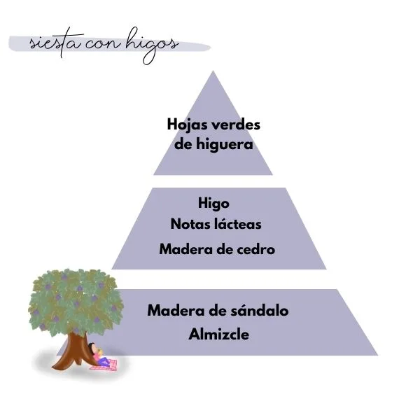Pirámide olfativa del aroma siesta con higos de la marca Loes para D'Arome