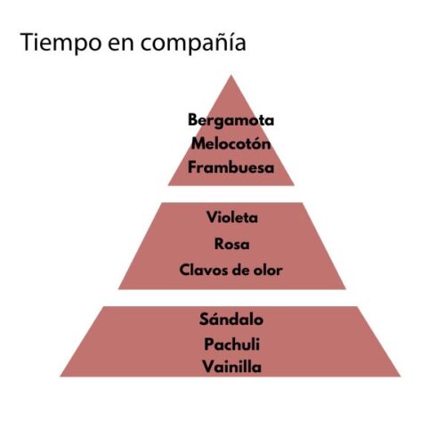 Pirámide olfativa del aroma tiempo en compañía de la marca Loes para D'Arome