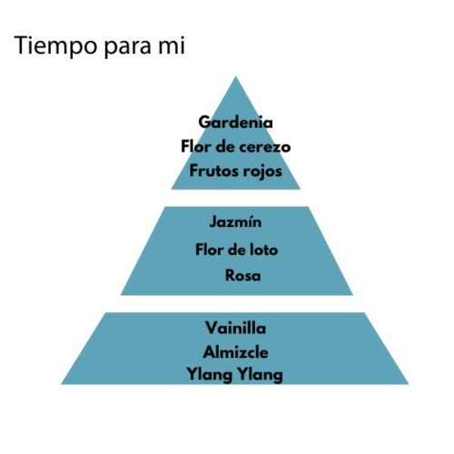 Pirámide olfativa del aroma tiempo para mi de la marca Loes para D'Arome