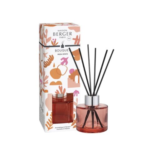 El Mini Bouquet FRESH SPIRIT es un Ambientador Mikado para hogar. Perfuma tu casa de forma constante y sin esfuerzo con un aromas fresco