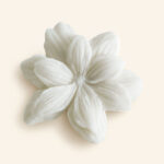 DOUCEUR D'AMBRE - Ceras perfumadas de Mathilde M - Imagen 3