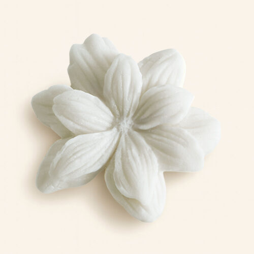 DOUCEUR D'AMBRE - Ceras perfumadas de Mathilde M - Imagen 3
