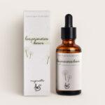 LOS PRIMEROS BESOS - Bruma 50ml LOES