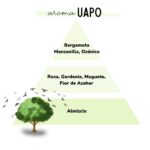 AROMA UAPO – Eliminador de olores 500ml - Imagen 3