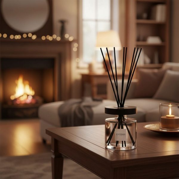 ambientador-mikado-terre-d-ocre-karite-ambiente-calido-salon-esteban-paris-darome-caja-bouquet-aroma