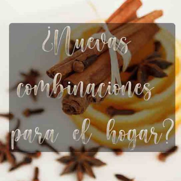 blog-3 naranja y canela mezcla